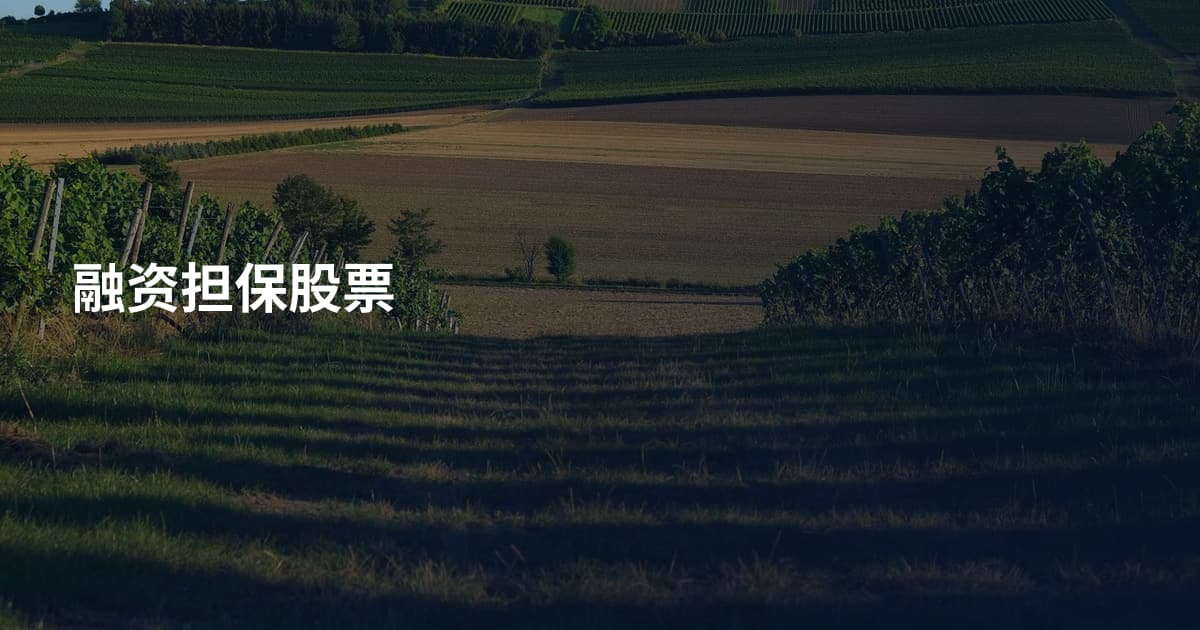 融资担保股票