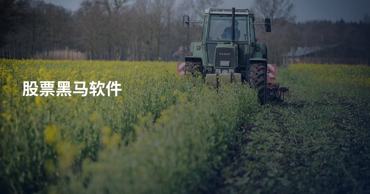 股票黑马软件