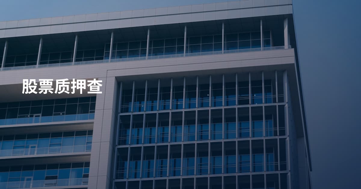 股票质押查