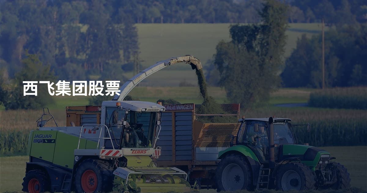 西飞集团股票