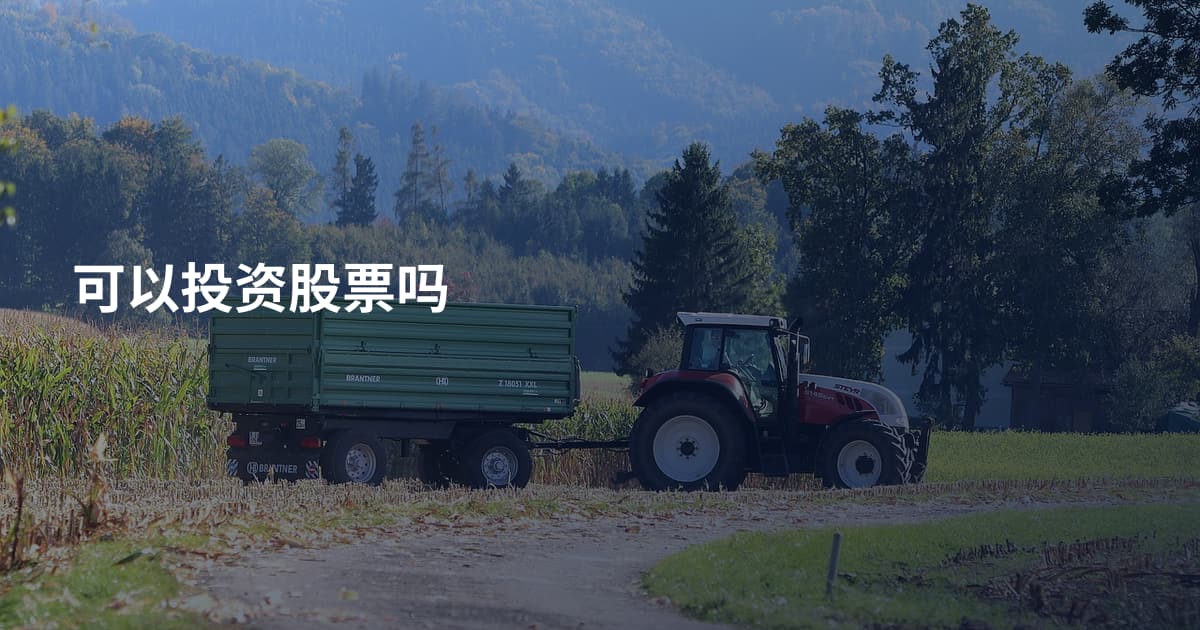 可以投资股票吗