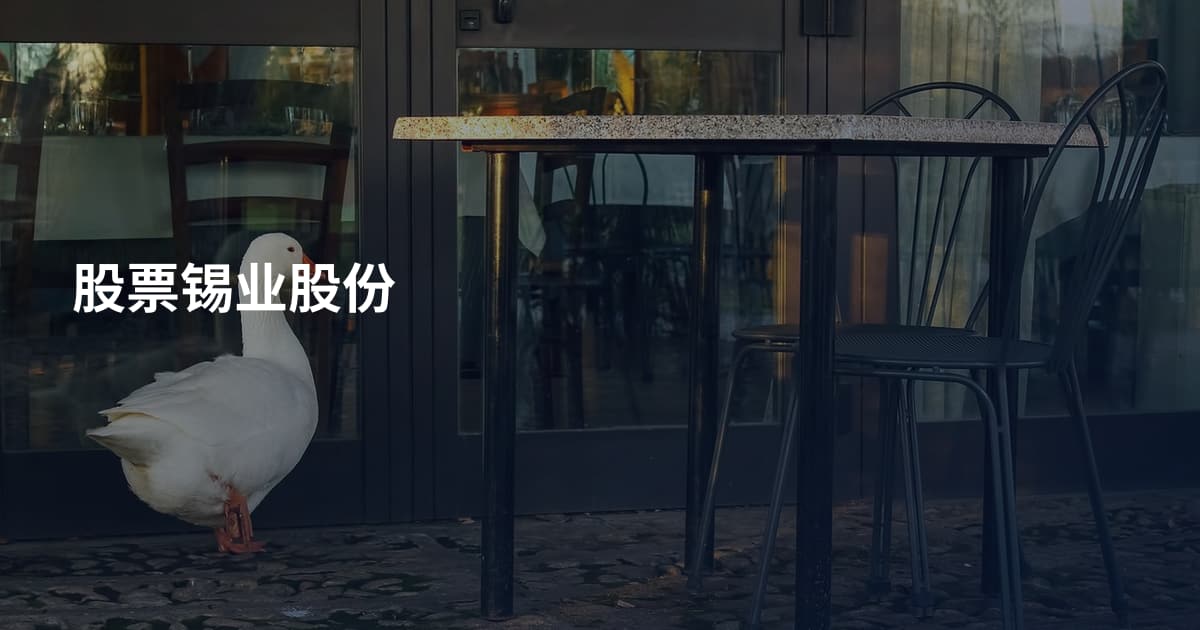 股票锡业股份