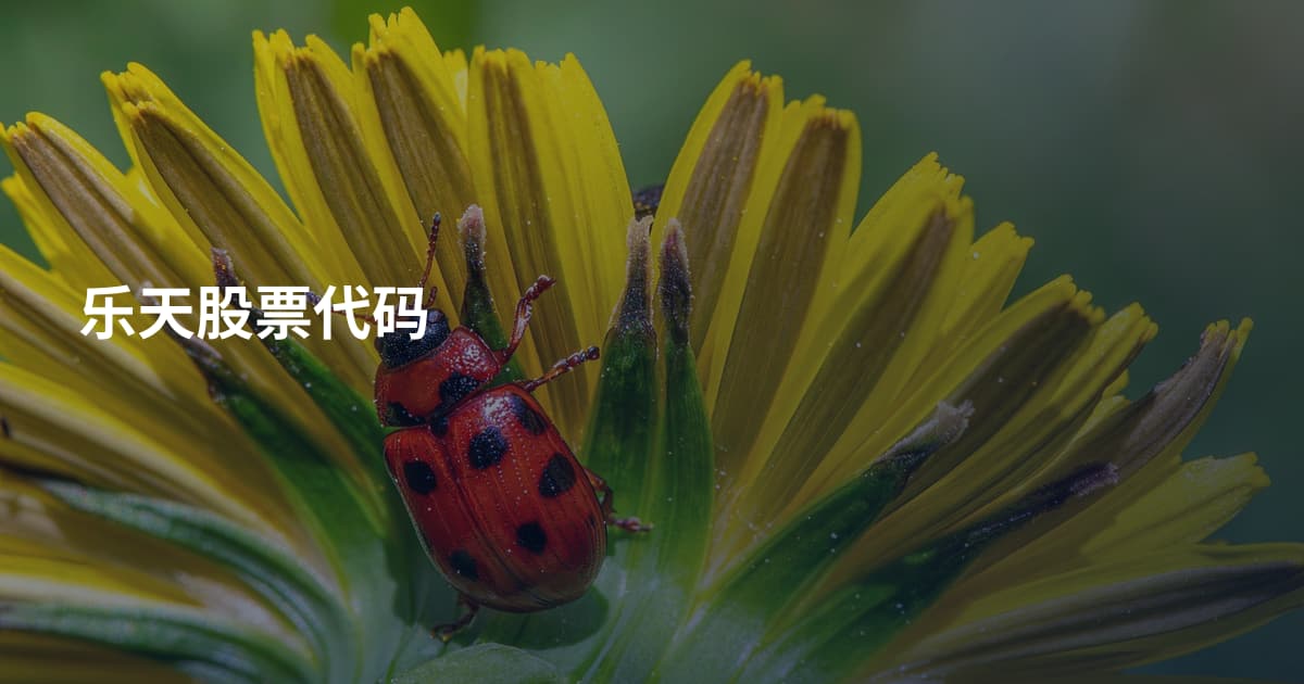 乐天股票代码