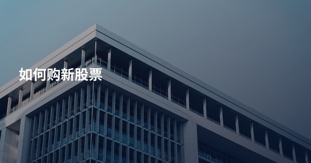如何购新股票