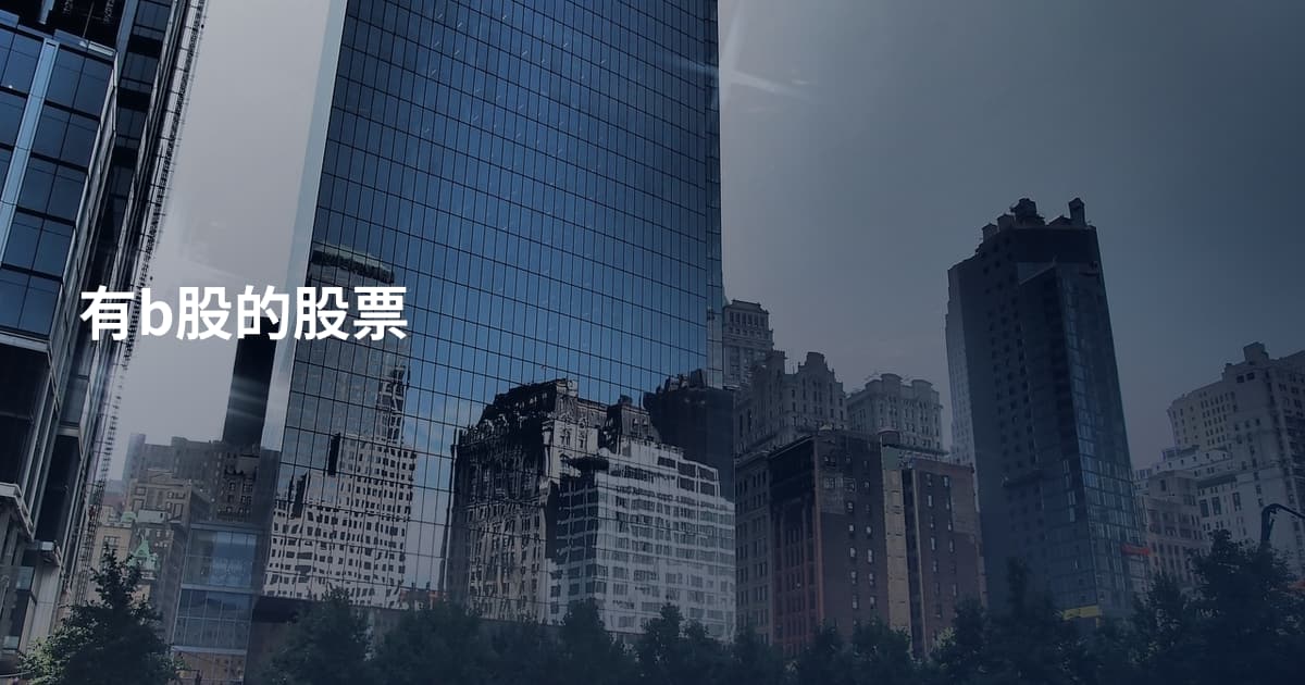 有b股的股票