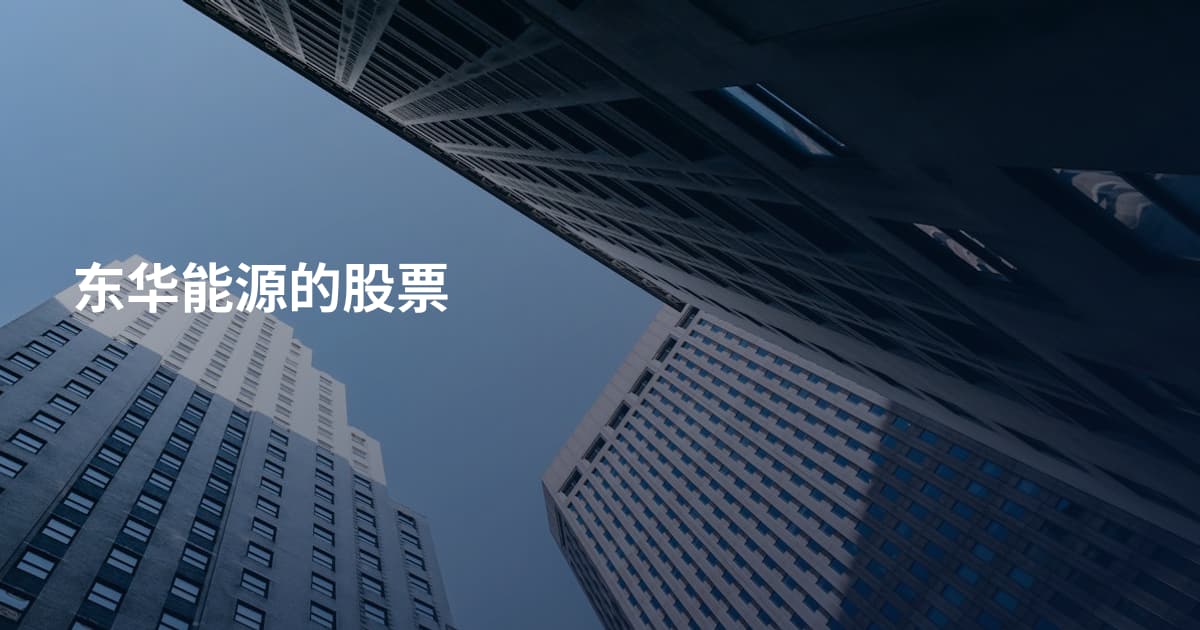 东华能源的股票