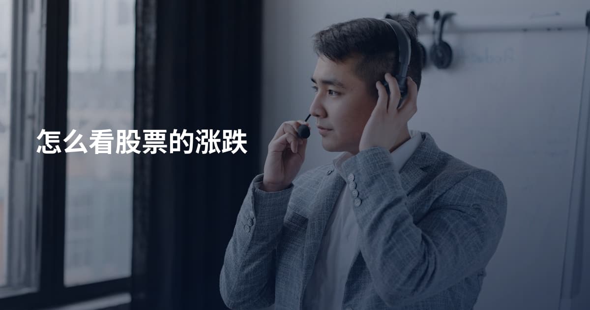 怎么看股票的涨跌