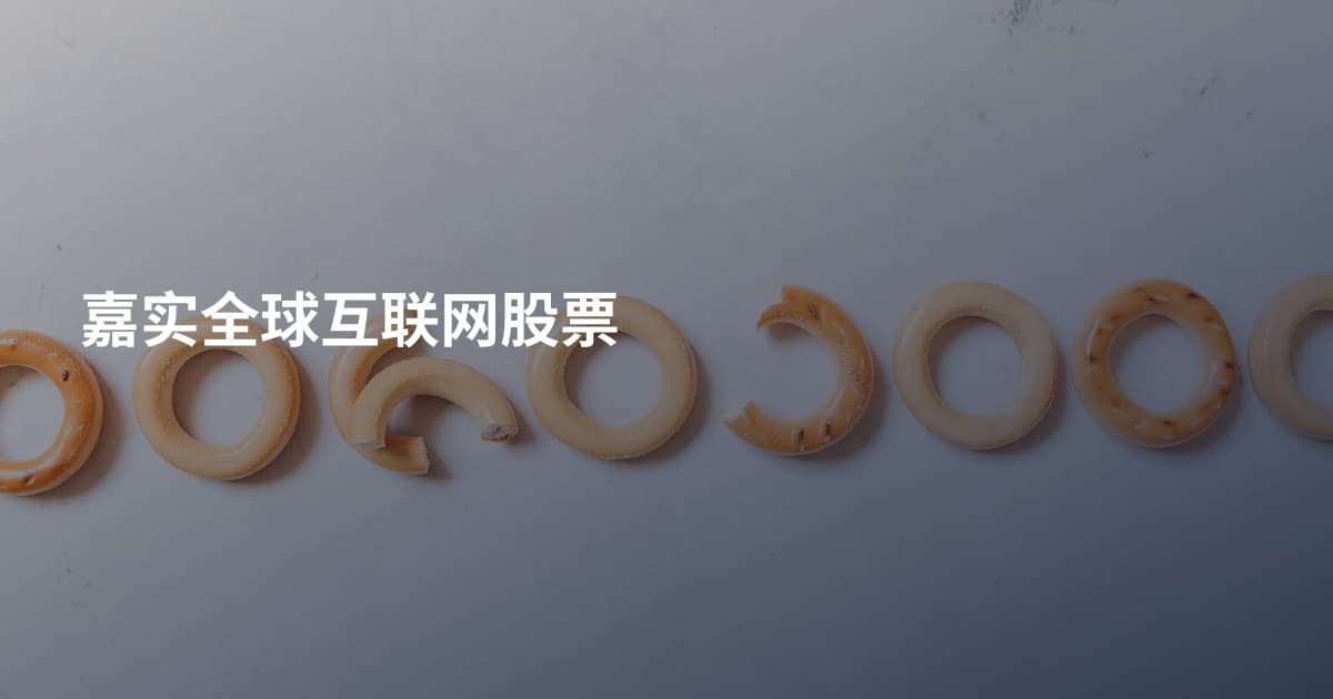 嘉实全球互联网股票