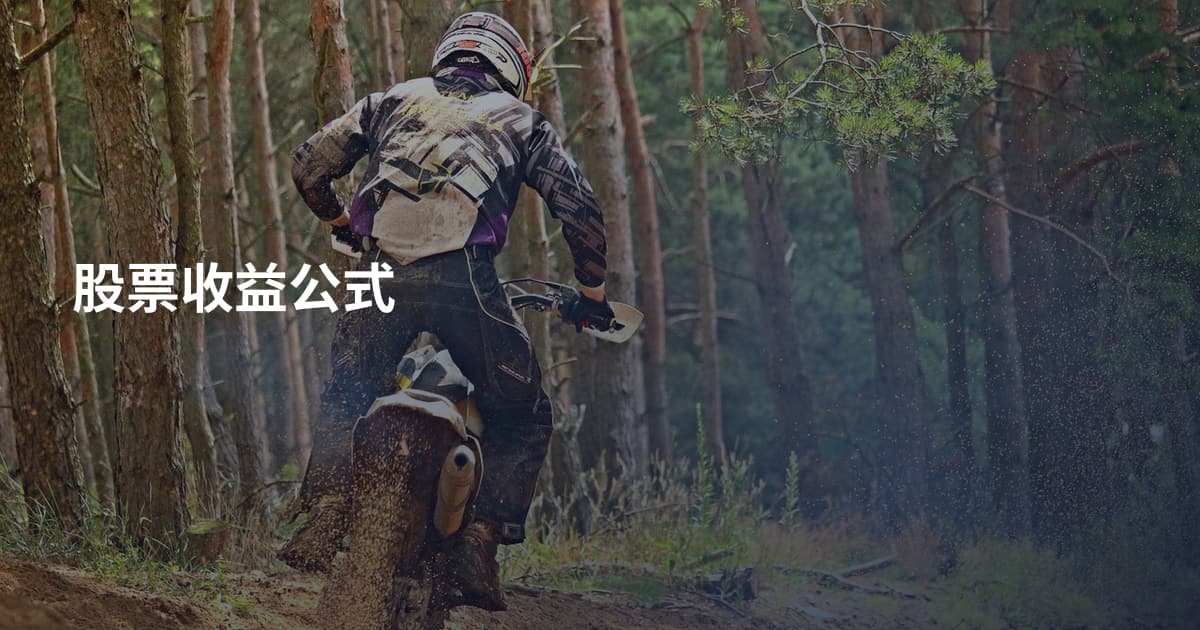 股票收益公式