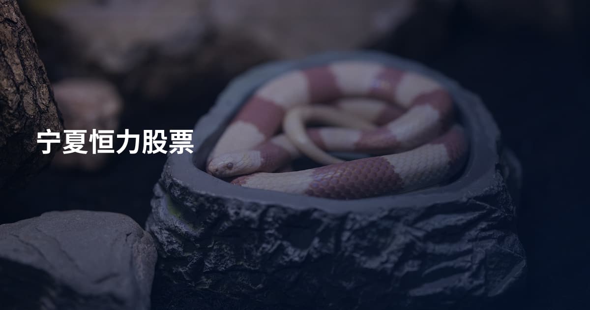 宁夏恒力股票