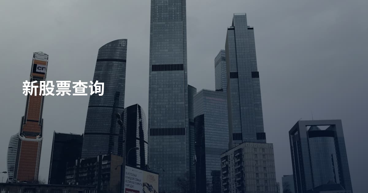 新股票查询
