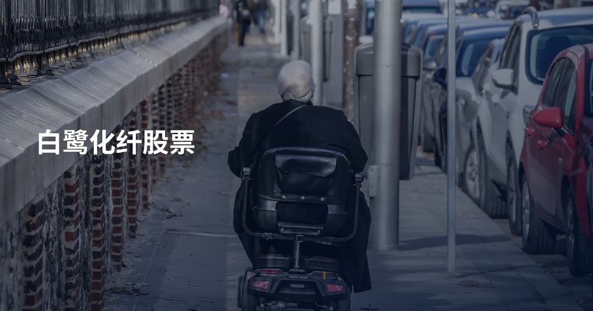 白鹭化纤股票