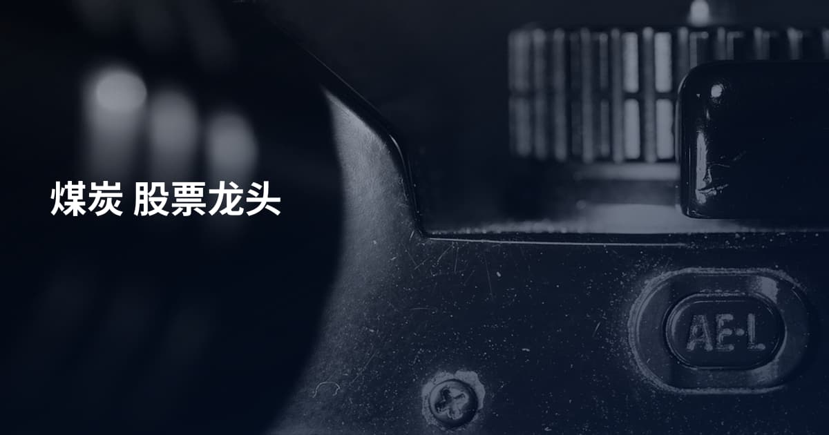 煤炭 股票龙头