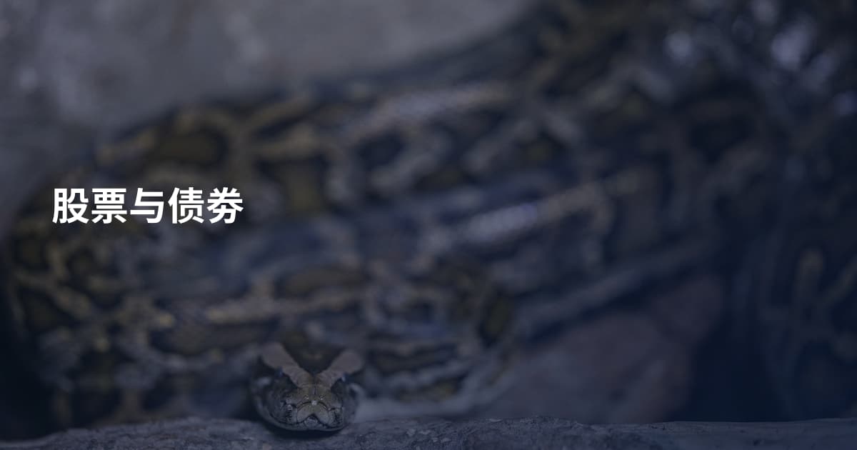 股票与债劵