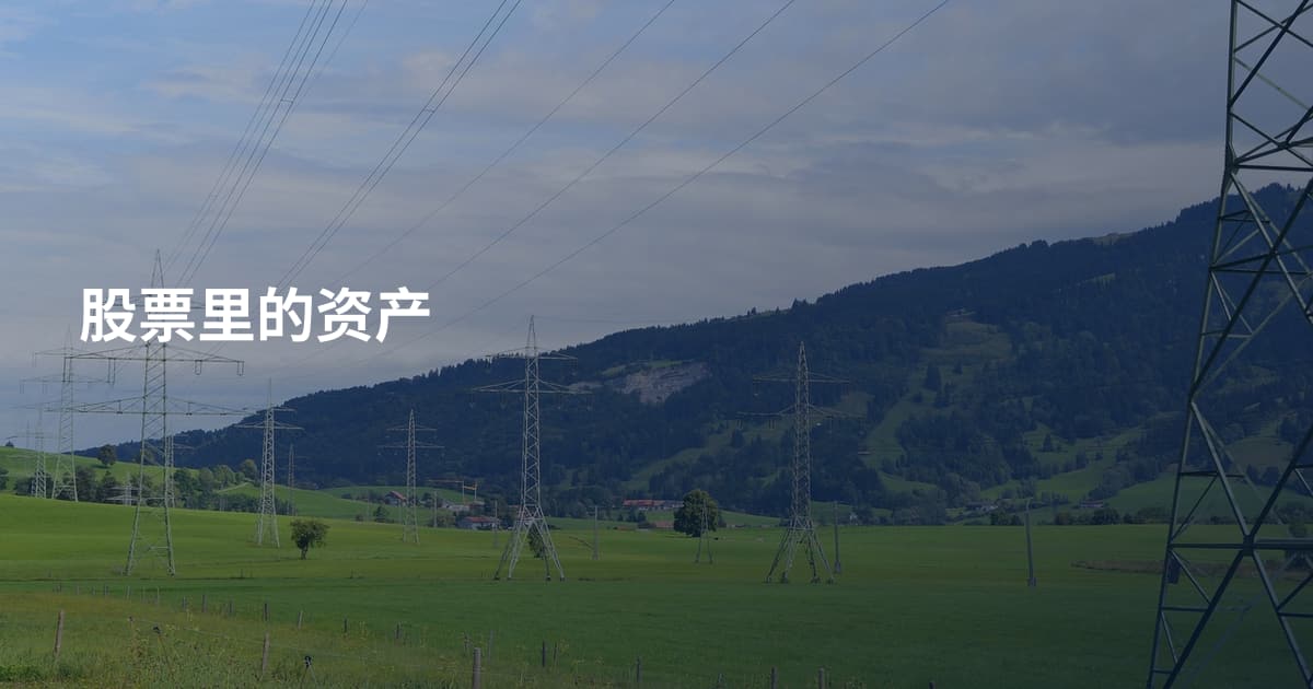 股票里的资产
