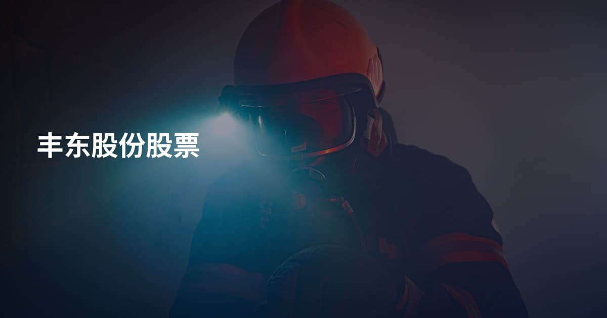 丰东股份股票