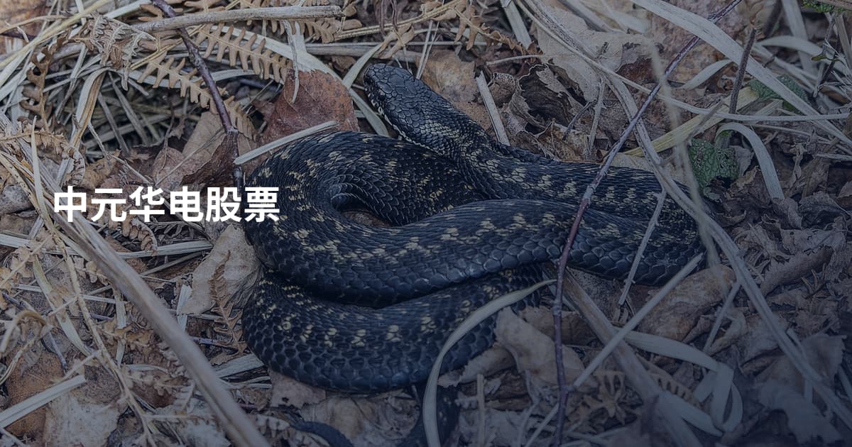 中元华电股票