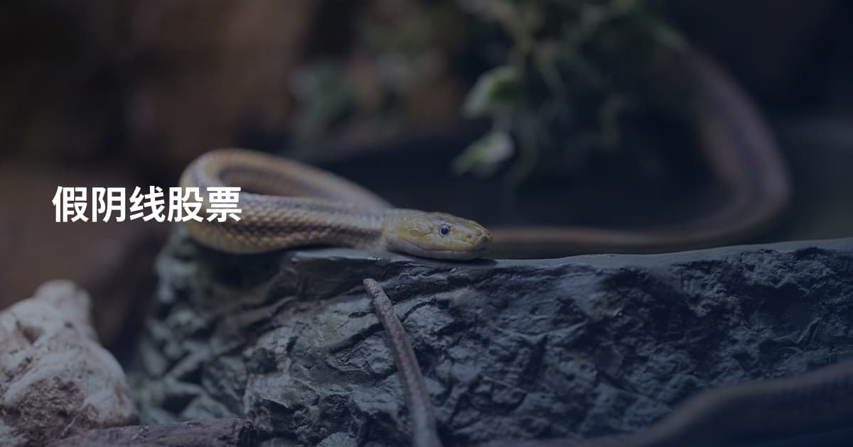 假阴线股票