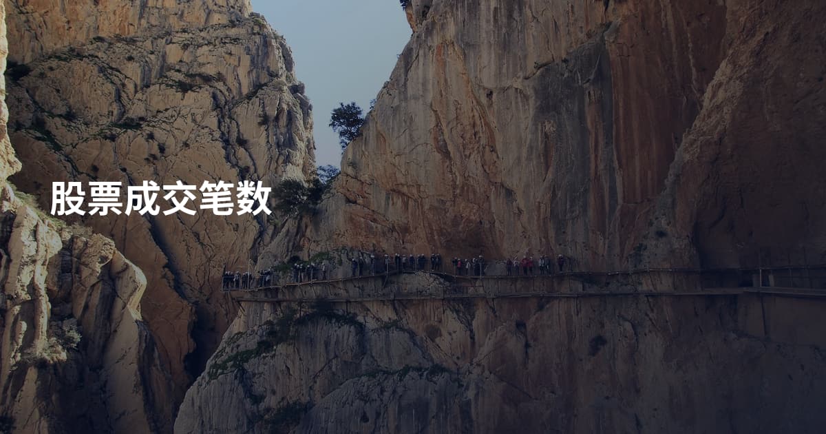 股票成交笔数