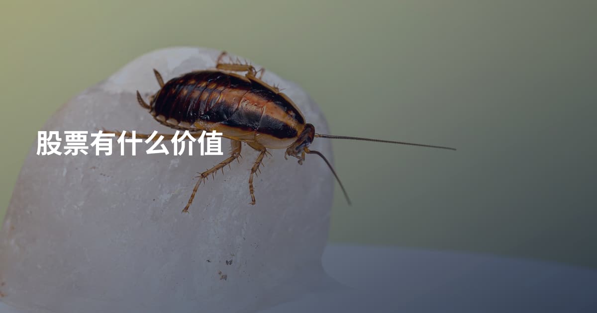 股票有什么价值