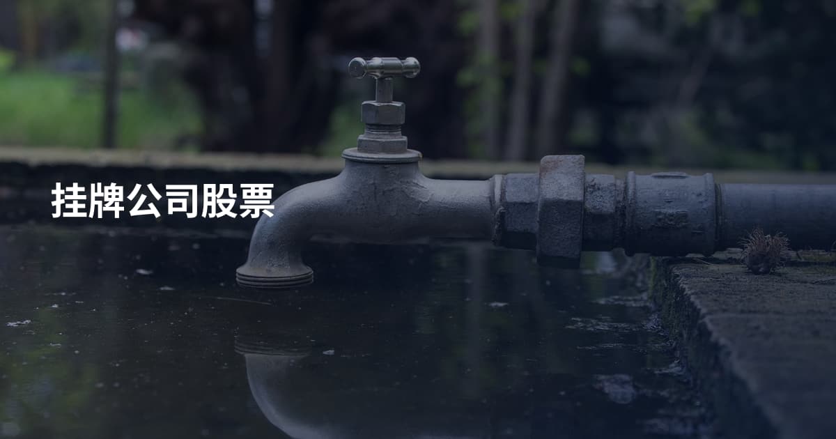 挂牌公司股票
