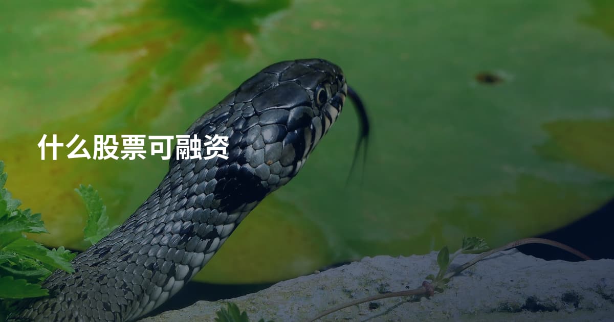什么股票可融资