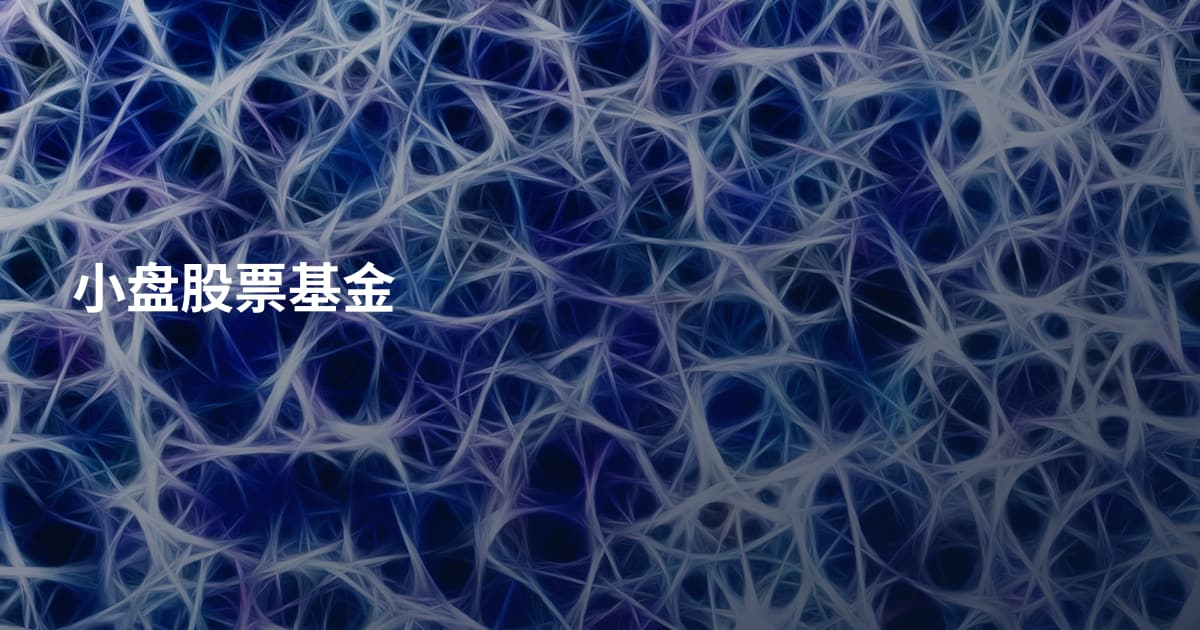 小盘股票基金