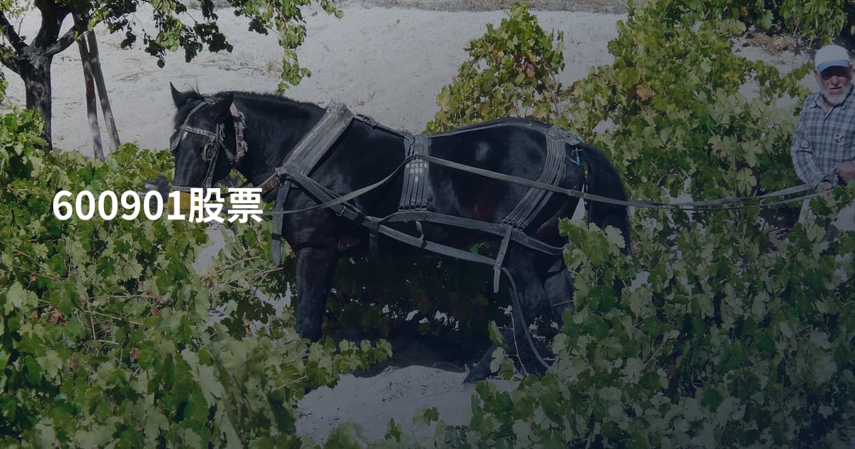 600901股票