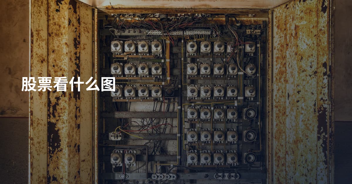股票看什么图