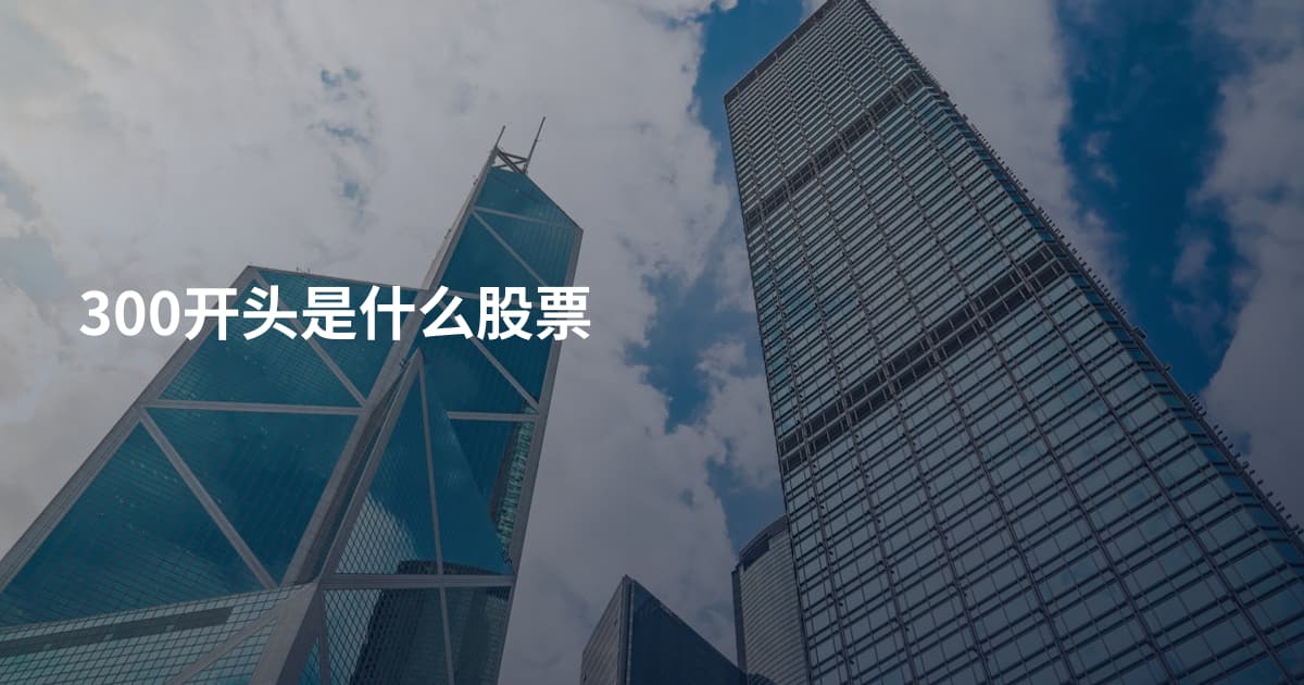 300开头是什么股票