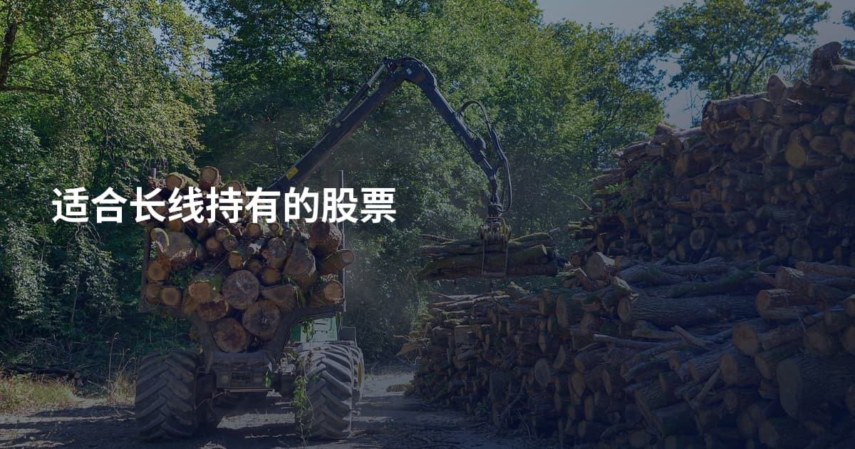 适合长线持有的股票