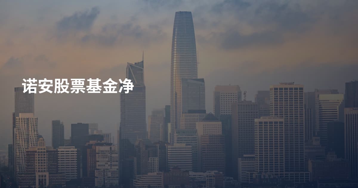 诺安股票基金净
