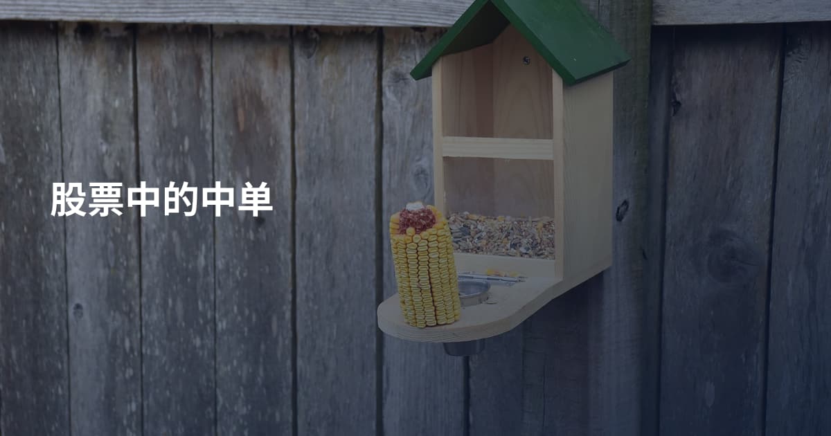 股票中的中单