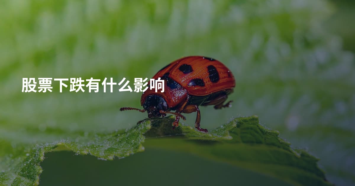 股票下跌有什么影响