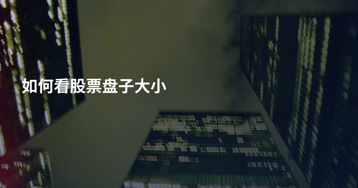 如何看股票盘子大小