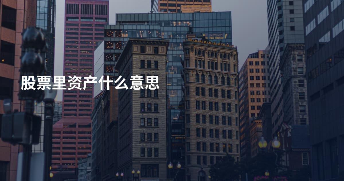股票里资产什么意思