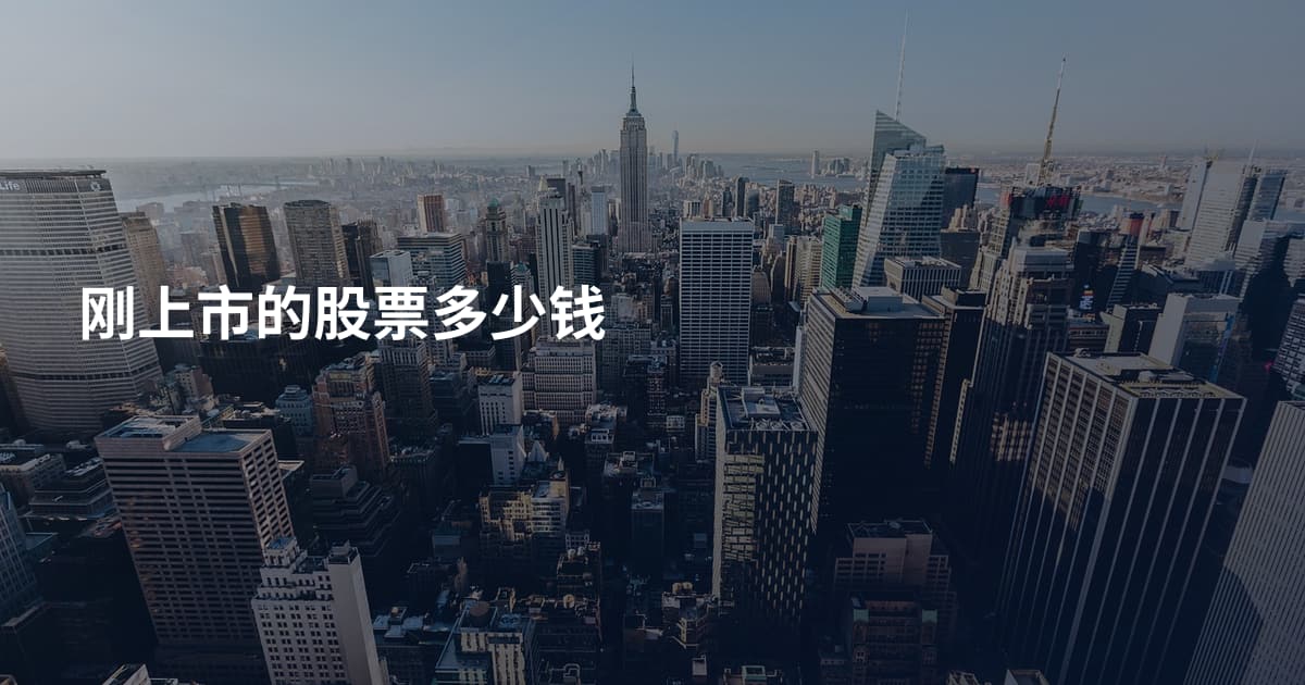 刚上市的股票多少钱