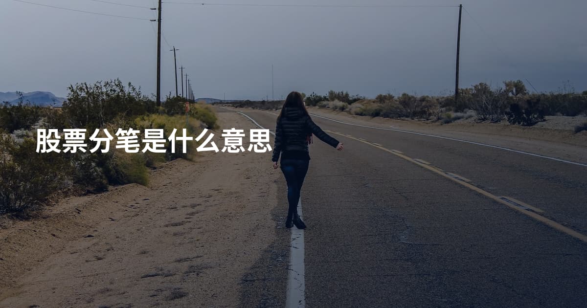 股票分笔是什么意思
