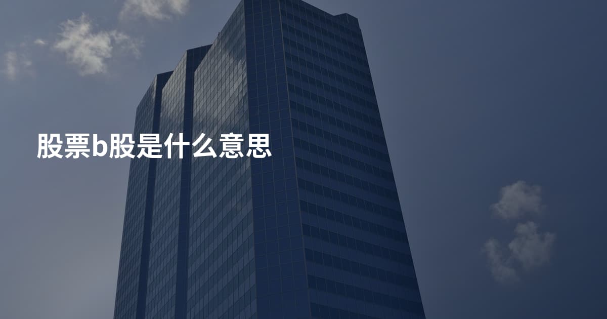股票b股是什么意思