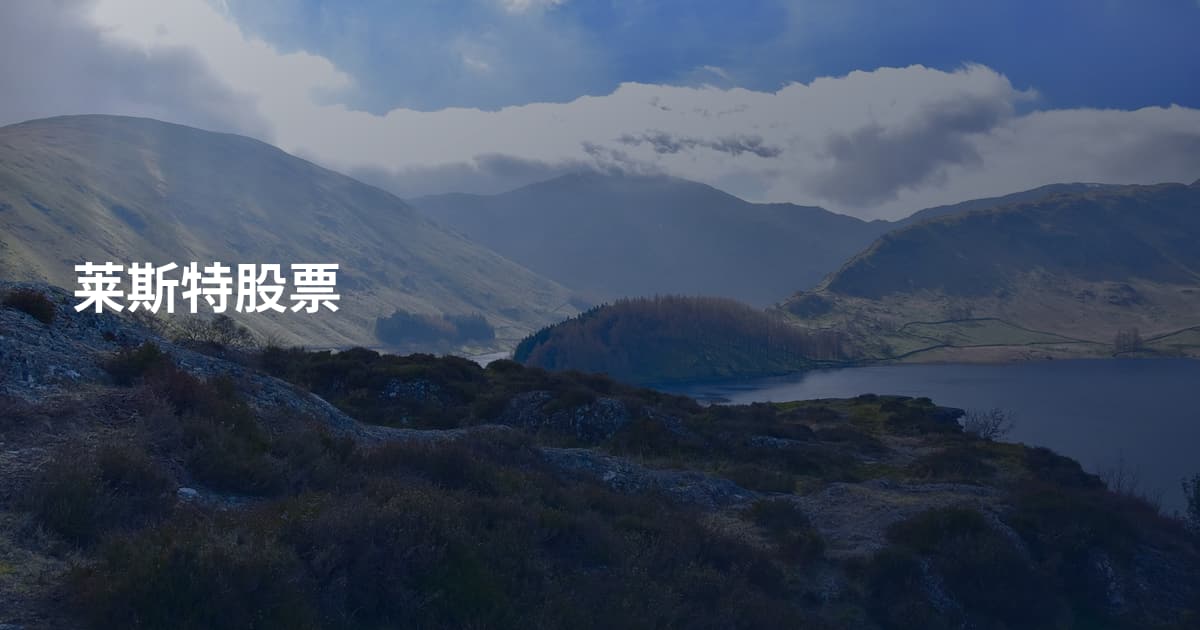 莱斯特股票