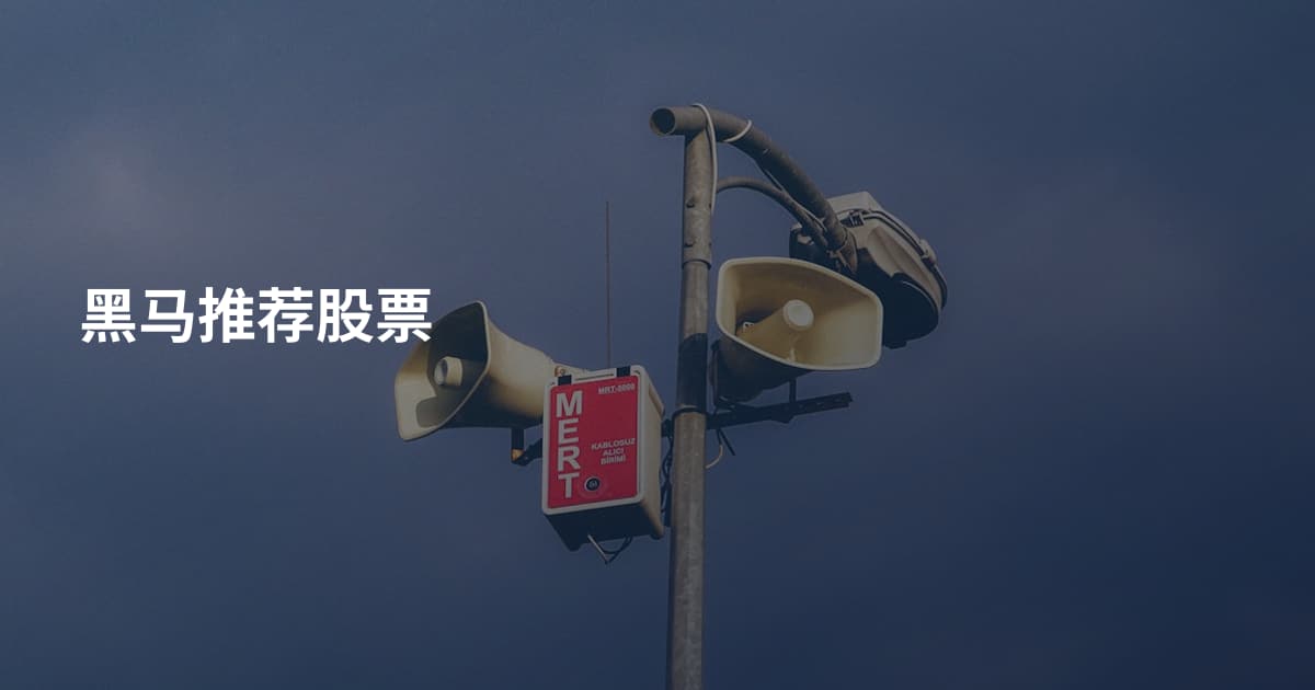 黑马推荐股票