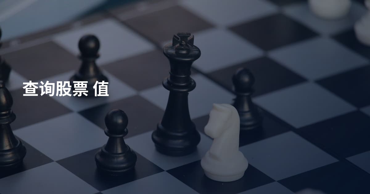 查询股票 值