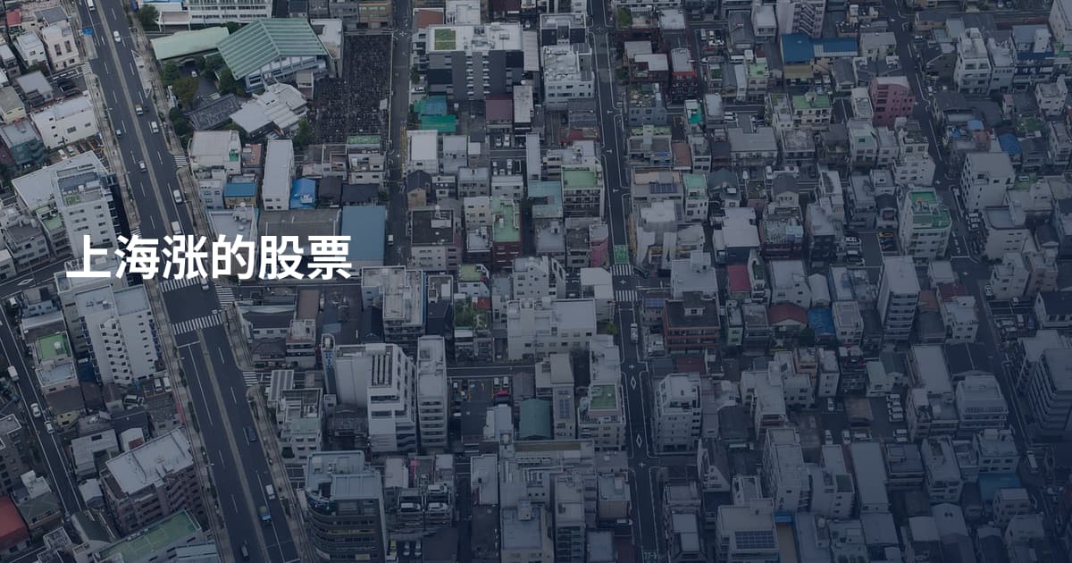 上海涨的股票