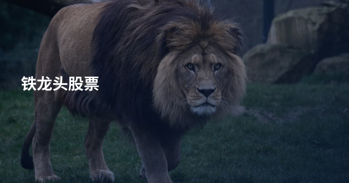 铁龙头股票