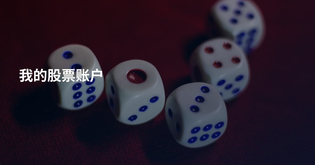 我的股票账户
