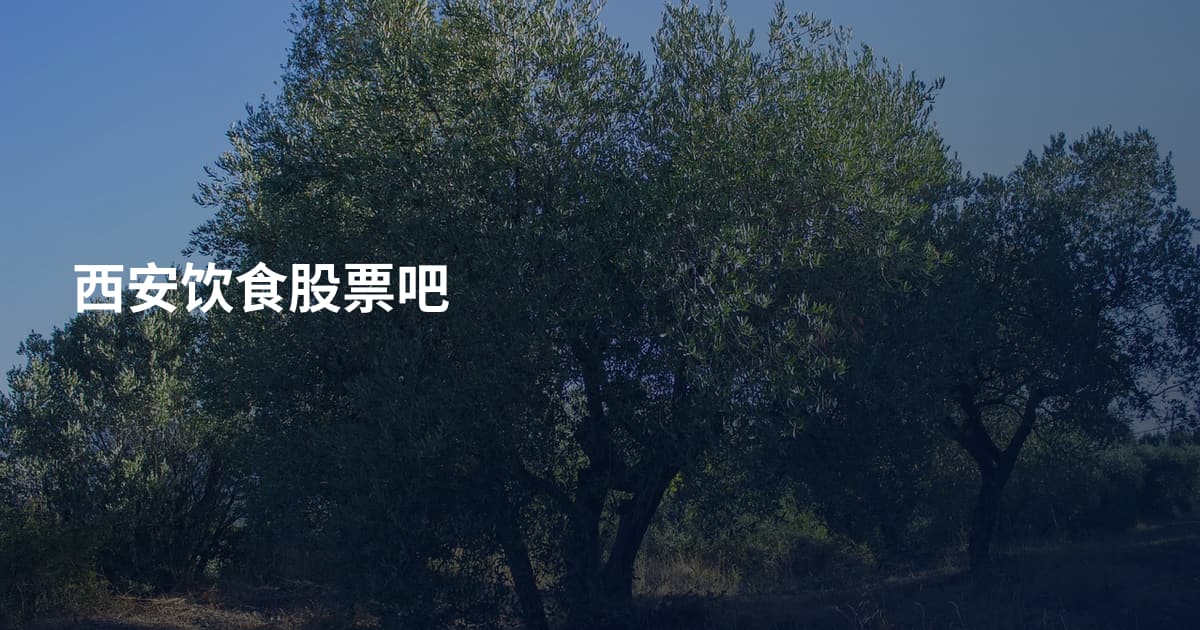 西安饮食股票吧