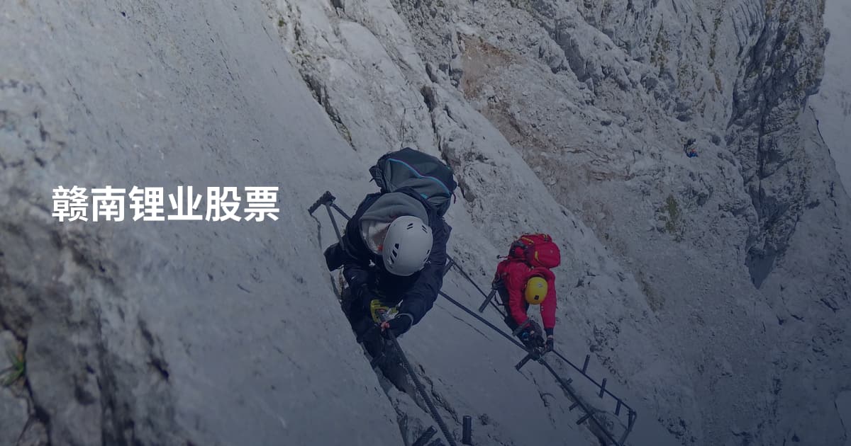 赣南锂业股票