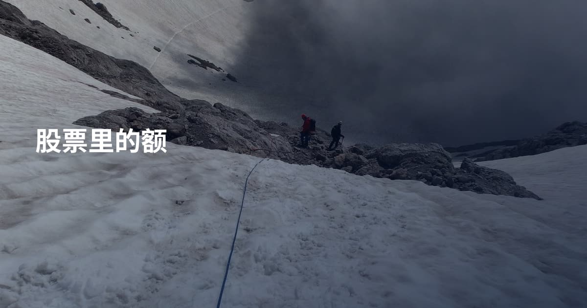 股票里的额