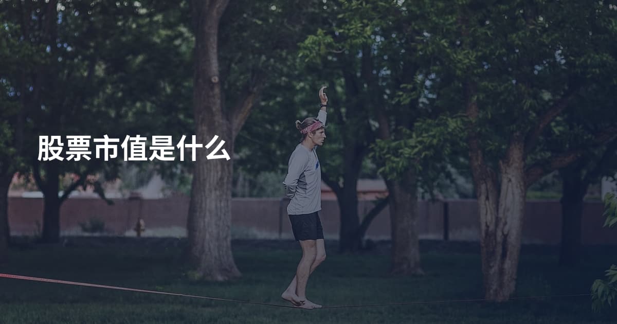 股票市值是什么