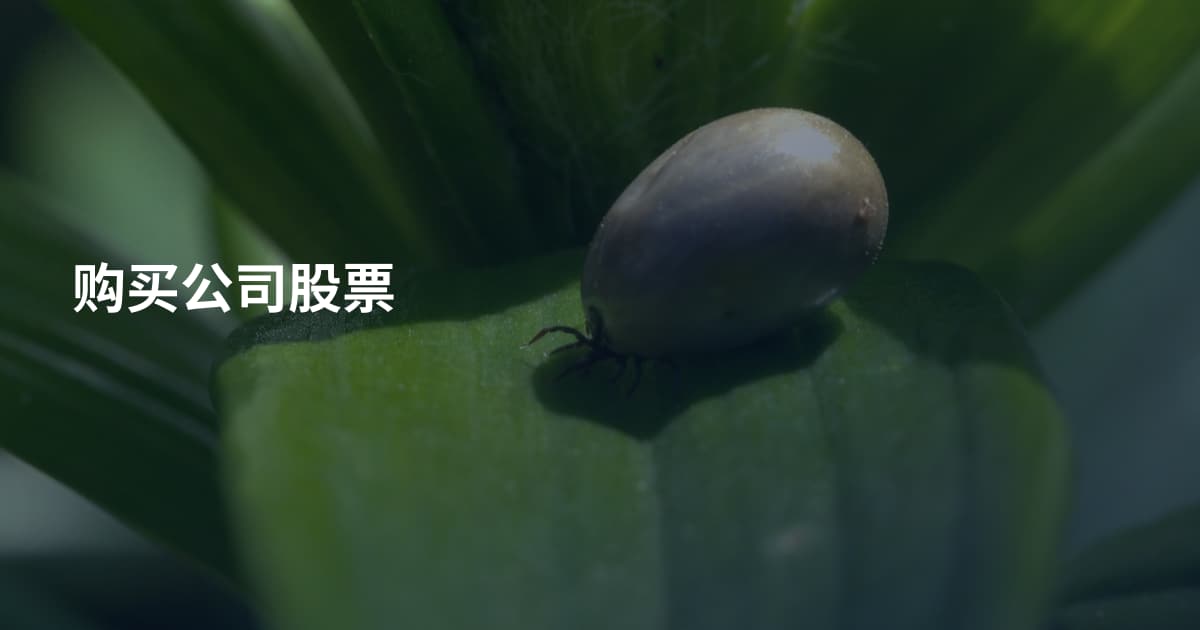 购买公司股票